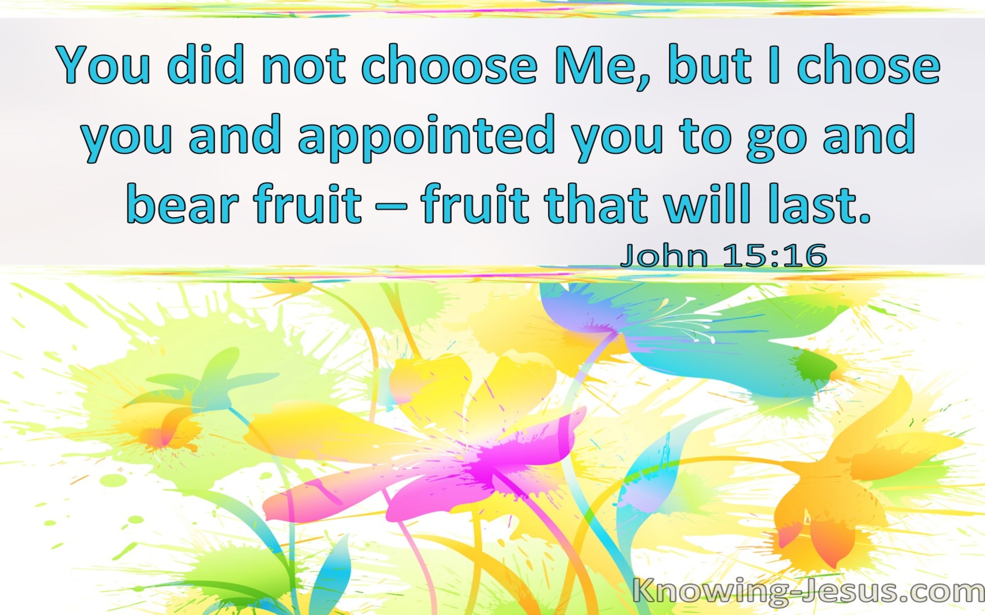 John 15:16 You Did Not Choose Me But I Chose You (windows)06:22